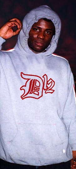 Bugz d12