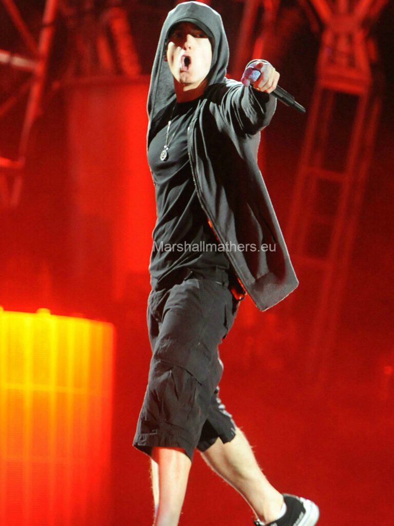 Foto di Eminem al festival di Coachella